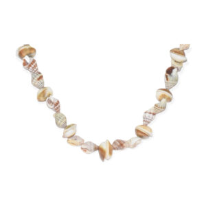 Collar Concha de Caracol Blanco Beige 8-14mm