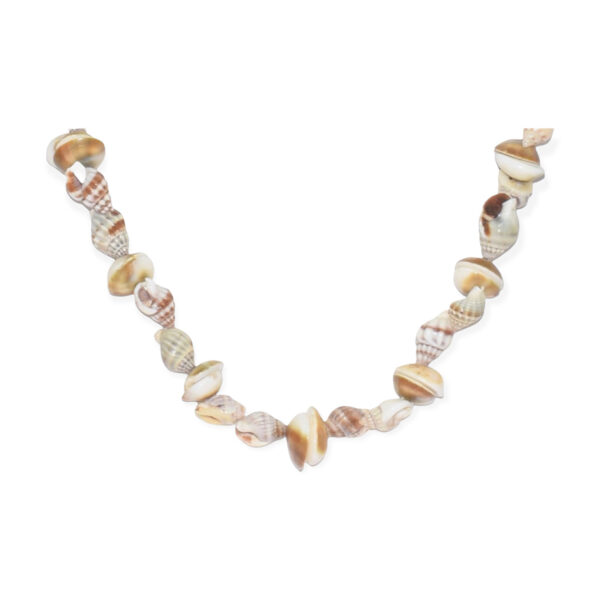 Collar Concha de Caracol Blanco Beige 8-14mm - Image 2