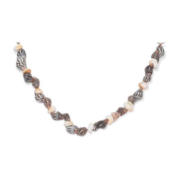 Collar Concha de Caracol Marrón 8-10mm - Image 2