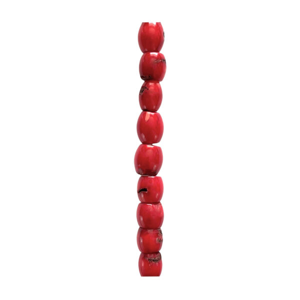 Coral Bambú Cilindro 10x11mm