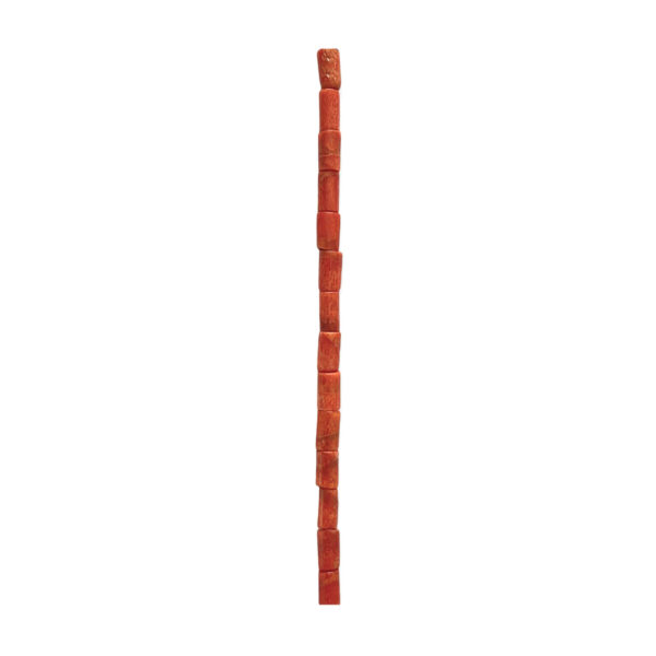 Coral Esponja Cilindro 4x7mm