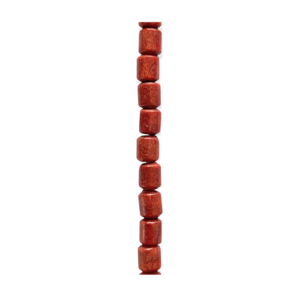Coral Esponja Cilindro 9x10mm