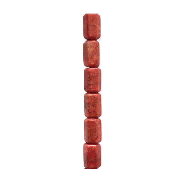 Coral Esponja Cilindro Hexagonal 9x16mm