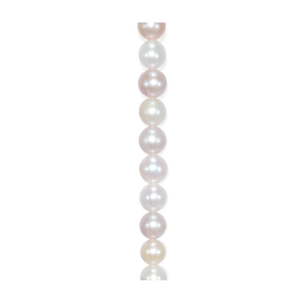 Perla Semiesférica Multicolor 7-8mm