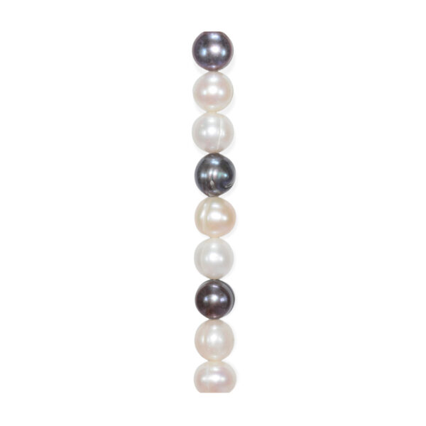Perla Semiesférica Multicolor 9-10mm